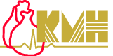 KMH Logo